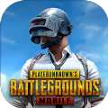 pubg国际服直充软件app手机版下载