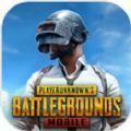 pubg mobile国际服手游「v2.1.0」手游_pubg mobile国际服手游最新版下载手机版下载,pubg mobile国际服手游「v2.1.0」手游_pubg mobile国际服手游最新版下载安卓_ios版下载