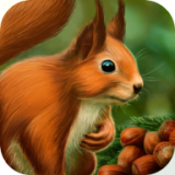 松鼠模拟器3D(Squirrel 3D Simulator)v1.1.1下载手机版下载,松鼠模拟器3D(Squirrel 3D Simulator)v1.1.1下载安卓_ios版下载