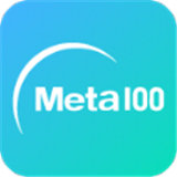 META100数字藏品