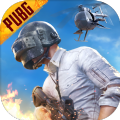 pubg直充软件「16.45MB」下载手机版下载,pubg直充软件「16.45MB」下载安卓_ios版下载