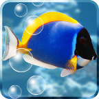 水族馆动态壁纸下载_水族馆动态壁纸「v5.6.3」APP下载手机版下载,水族馆动态壁纸下载_水族馆动态壁纸「v5.6.3」APP下载安卓_ios版下载