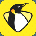 企鹅体育直播平台_企鹅体育直播平台v7.3.4安卓版下载